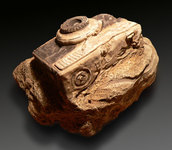 Fossile d'appareil photo